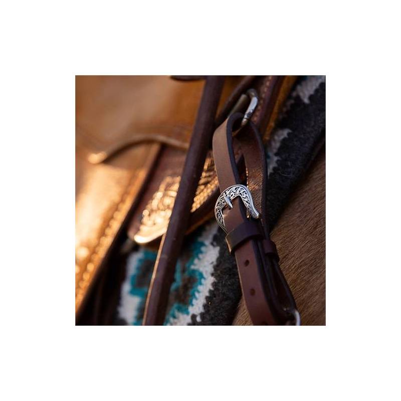 Collier de chasse Austin