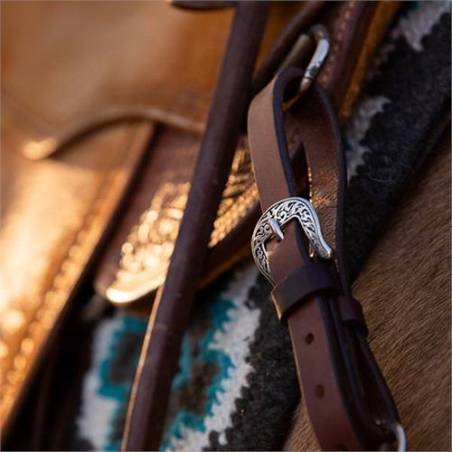Collier de chasse Austin