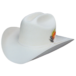 GEMVIE Chapeau Western Chapeau de Cowboy Femme Large Bord Chapeau de Jazz  Chapeau Suède Chapeau de Soleil pour Été Équitation Vélo : : Mode