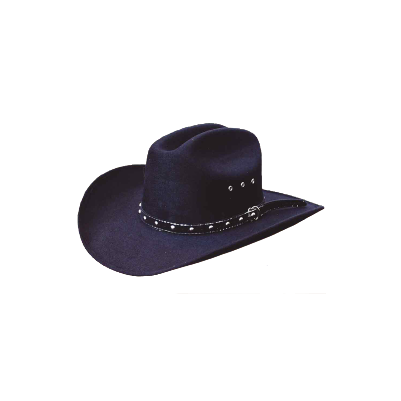 Chapeau feutre noir Tucson
