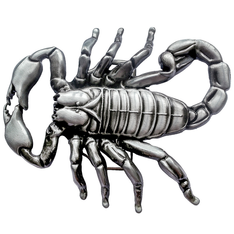 Boucle de ceinture scorpion