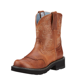 Bottes western et country