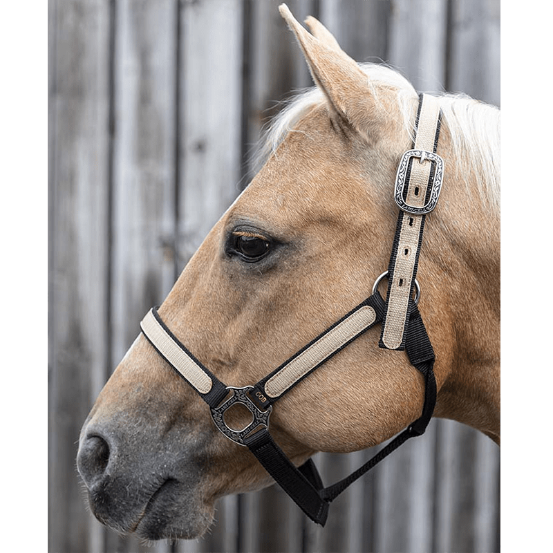 Licol et longe Idaho