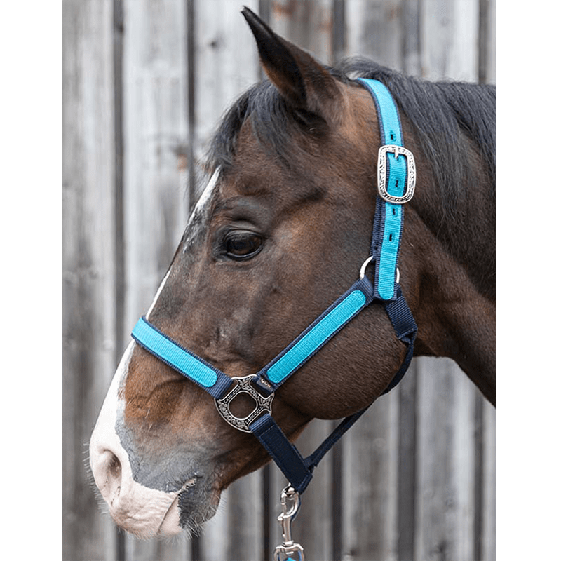 Licol et longe Idaho