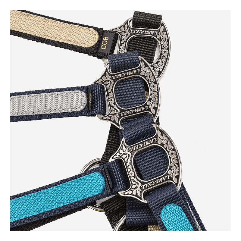 Licol et longe Idaho