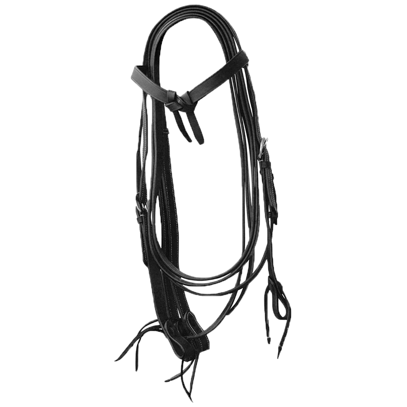 Bridon et rênes cuir souple