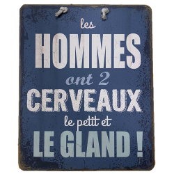 Plaque humoristique Cerveaux