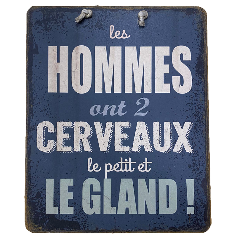 Plaque humoristique Cerveaux