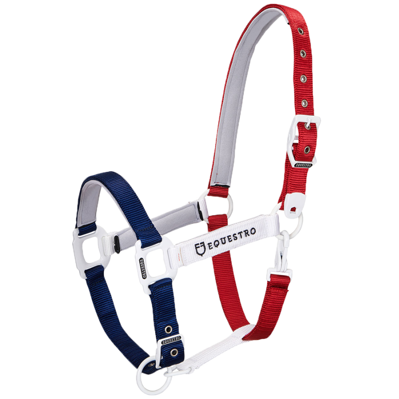 Licol et longe nylon