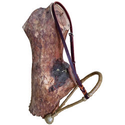 Bosal et têtière