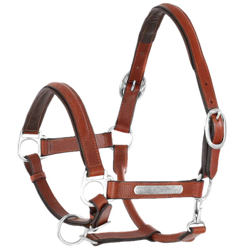 Licol cuir poney, cob, full