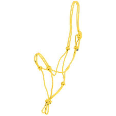 Licol corde à nœuds