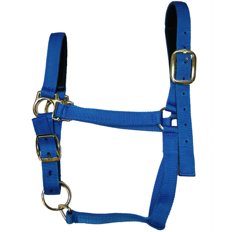 Licol nylon robuste poney