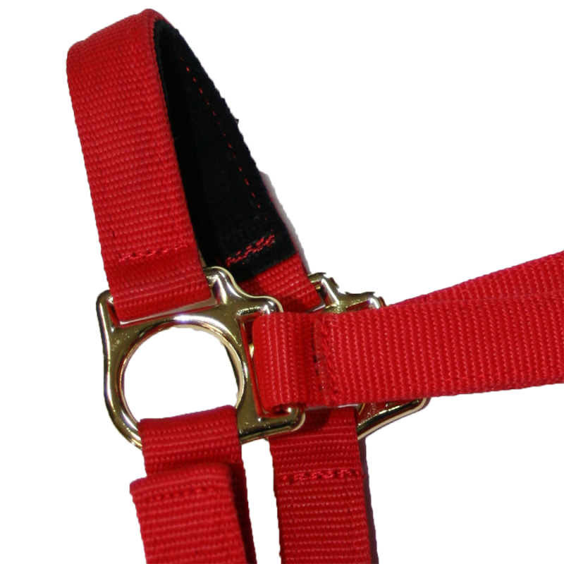 Licol nylon robuste poney