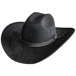 Chapeau feutre noir Larry 2024