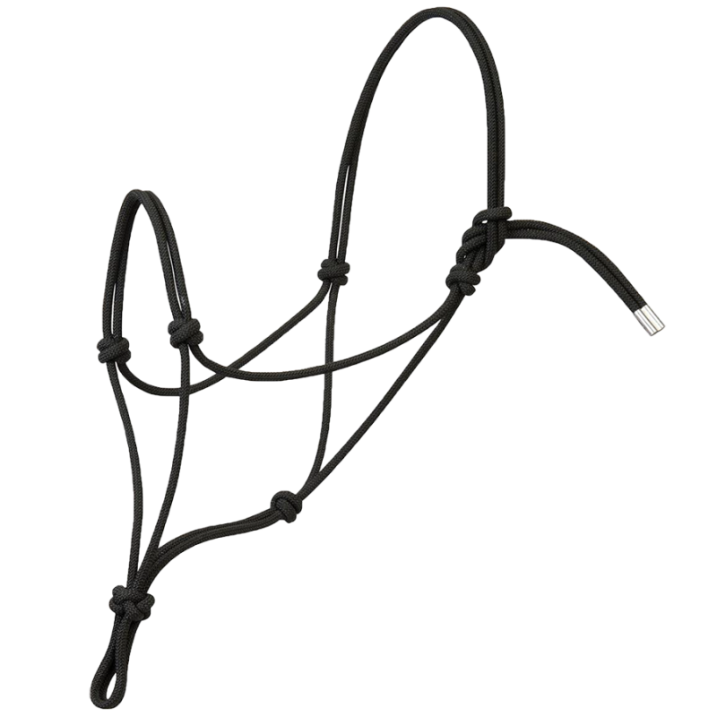 Licol corde Silvertip n°95 draft