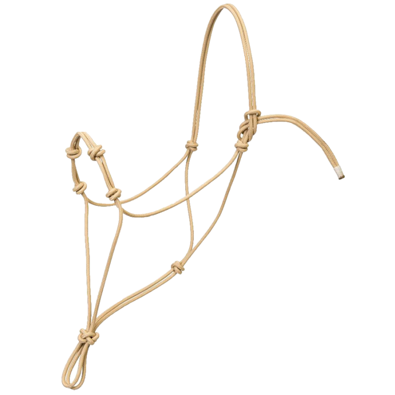Licol corde 4 nœuds cob-quarter