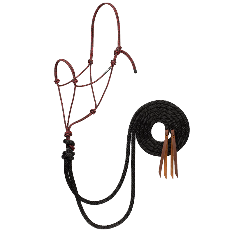 Licol corde Silvertip cob et rênes