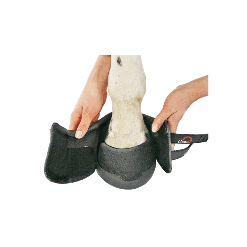 Hipposandales cuir et néoprène