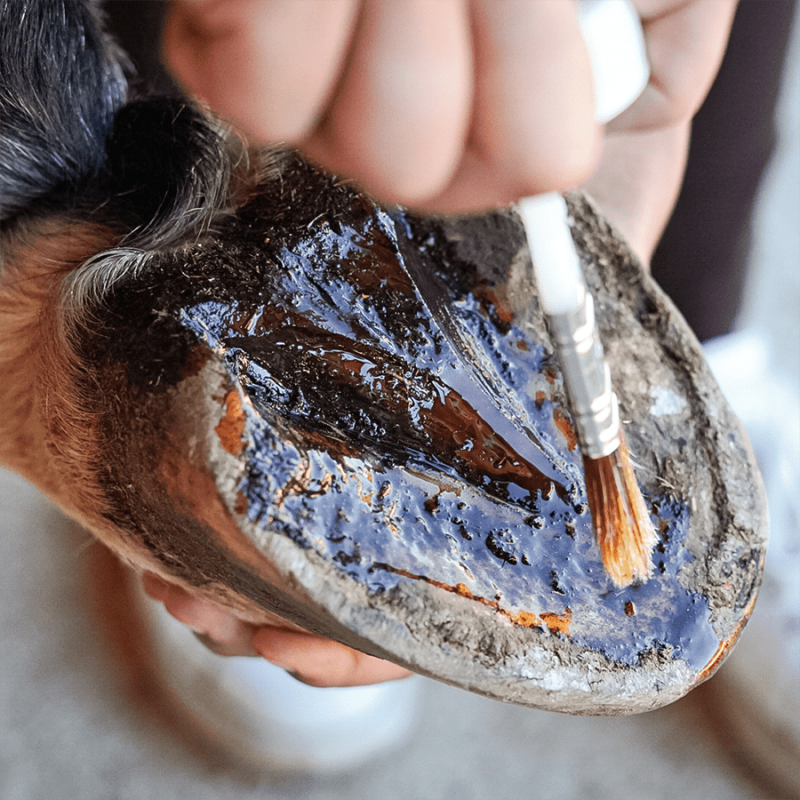 Pediflex soin du pied