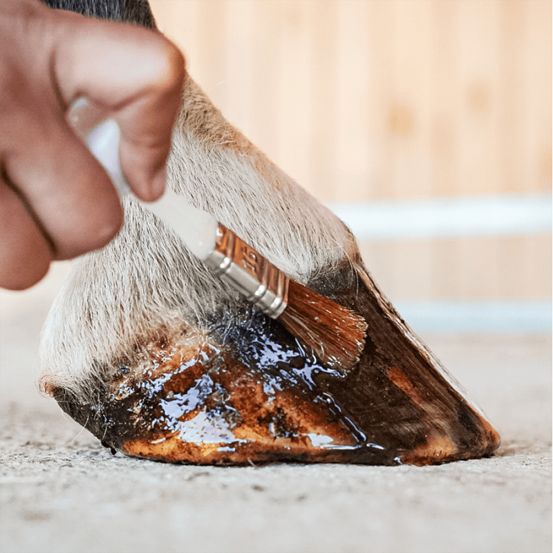 Pediflex soin du pied