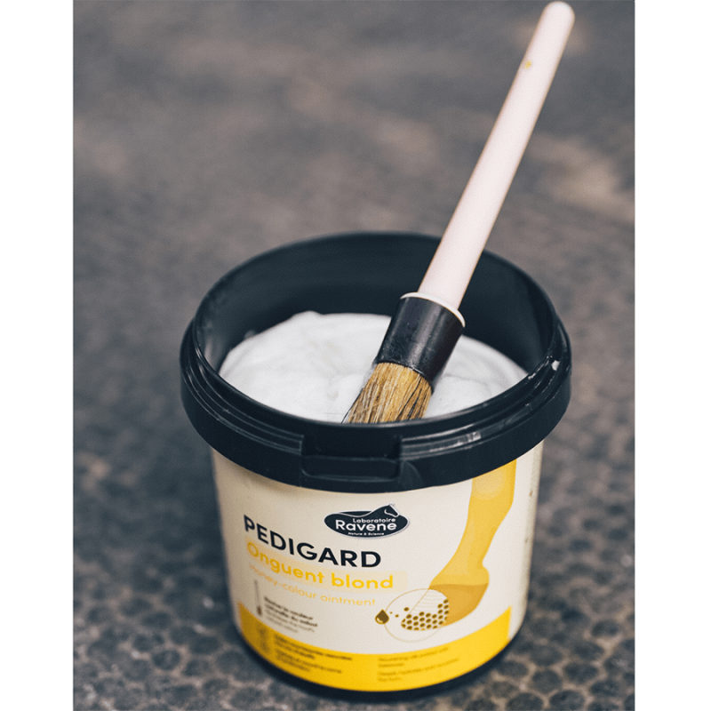 Pedigard onguent blond