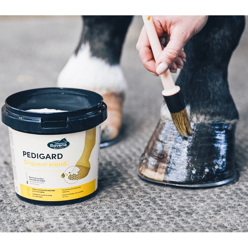 Pedigard onguent blond