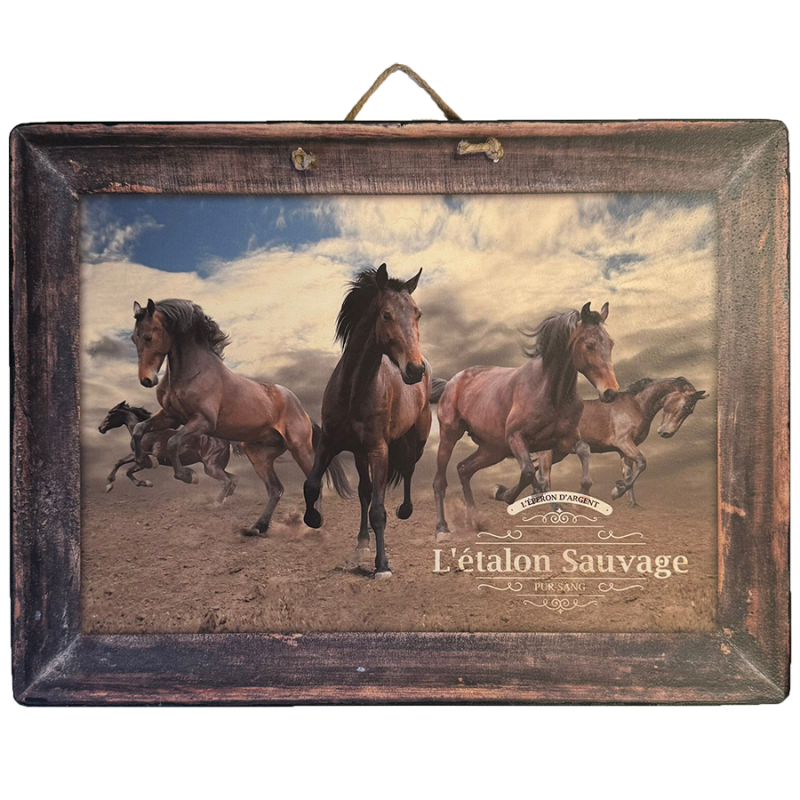Cadre bois Étalons sauvages