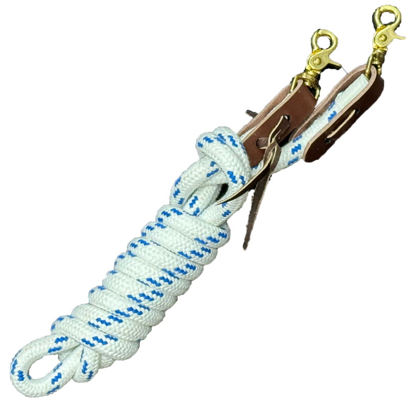 Rênes fermées éducatives lourdes 2B Western