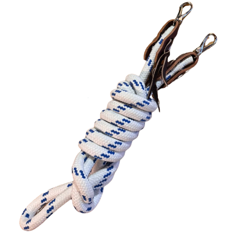 Rênes fermées éducatives lourdes 2B Western