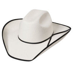 Chapeau feutre Iowa Silverbelly