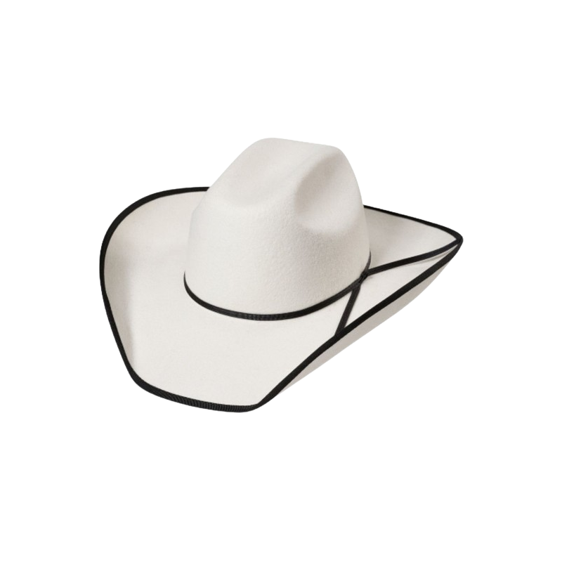 Chapeau feutre Iowa Silverbelly