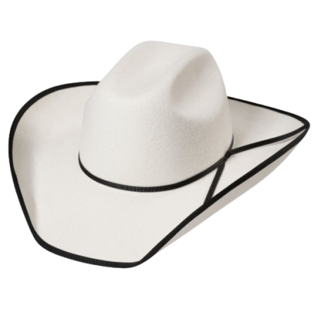 Chapeau feutre Iowa Silverbelly