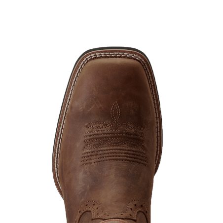 Bottes Ariat Distressed