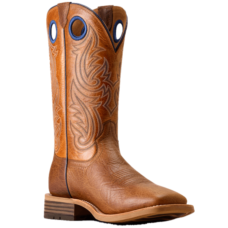 Boots Ariat Highland Toughstock