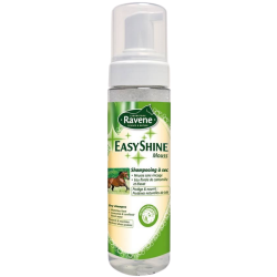 Shampooing sec Easy Shine Mouss