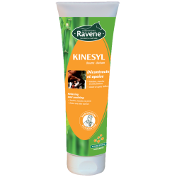 Kinesyl H036