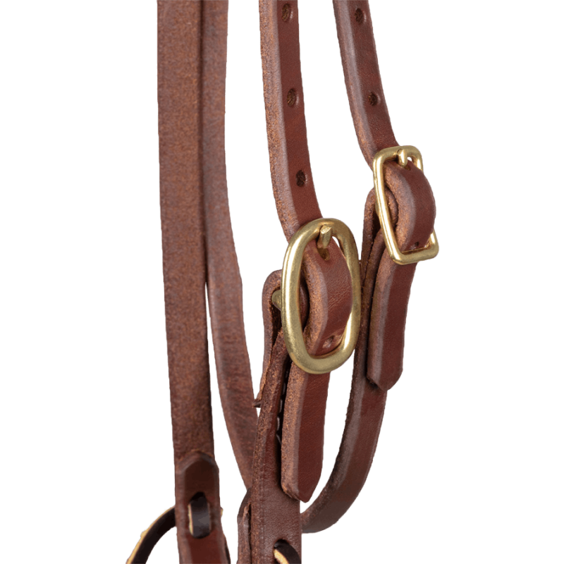 Bridon cuir huilé Platinum Pro