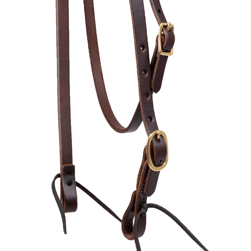 Bridon cuir huilé Platinum Pro