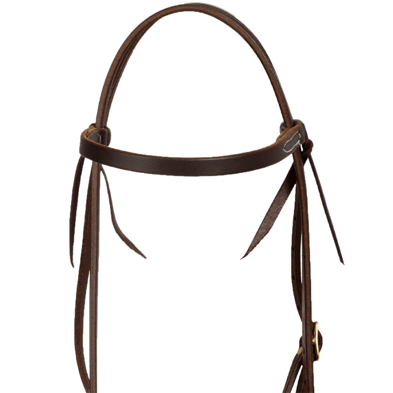 Bridon cuir huilé Platinum Pro