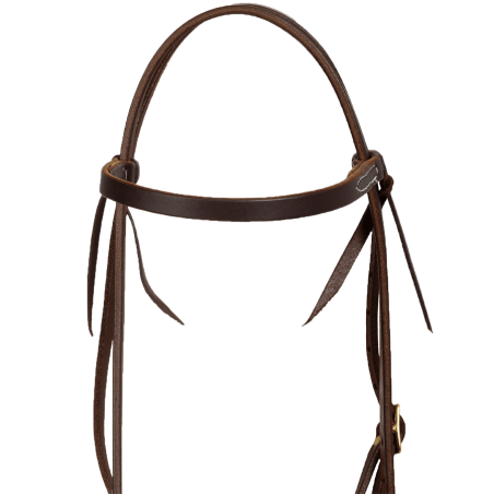 Bridon cuir huilé Platinum Pro
