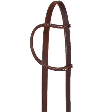 Bridon 1 oreille cuir huilé Platinum Pro