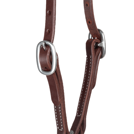 Bridon cuir huilé Quick Change