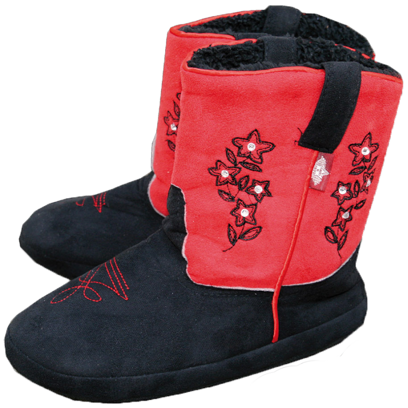 Bottes d'intérieur western
