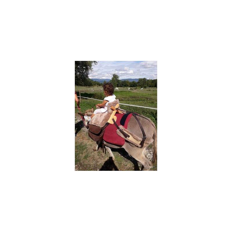 Bât pour âne 2BWBAT