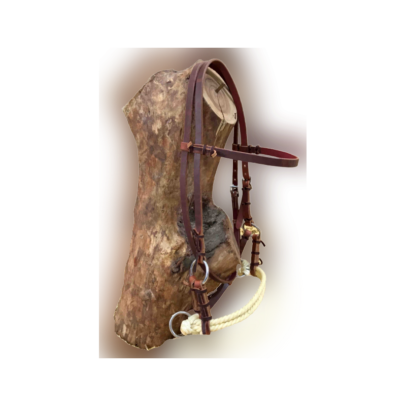 Side-pull cuir et rawhide