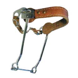 Hackamore PB 251134