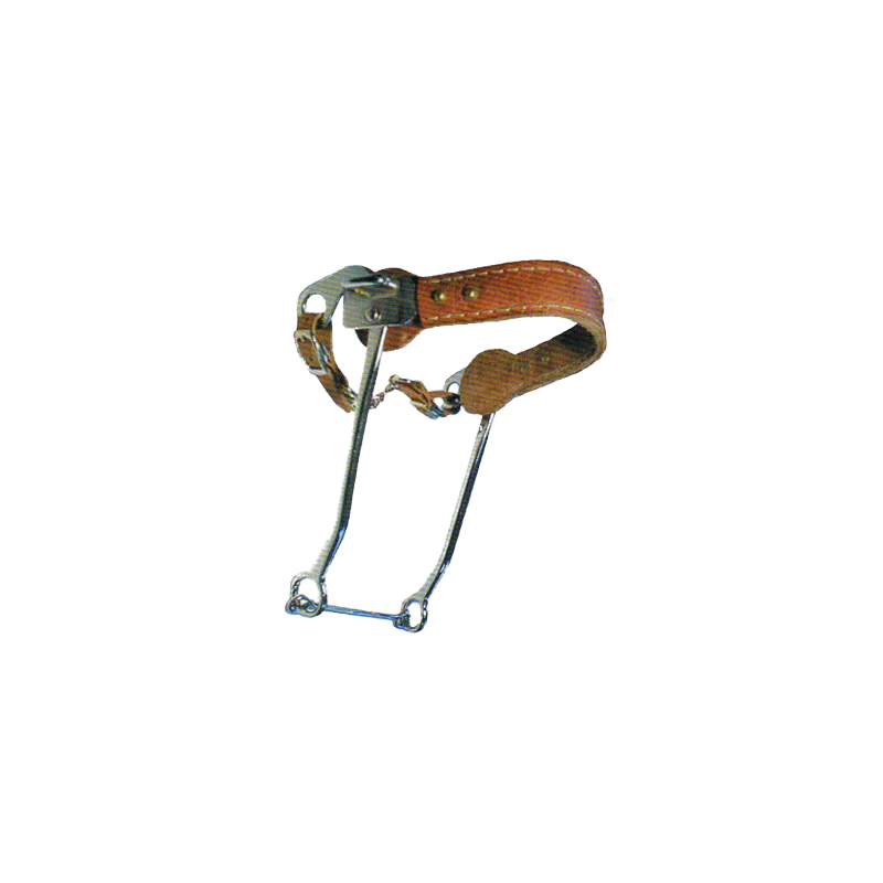 Hackamore PB 251134