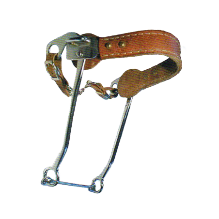 Hackamore PB 251134
