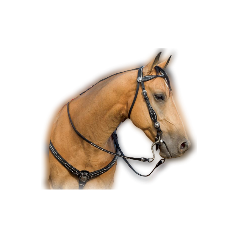 Bridon cuir noir Back in Black